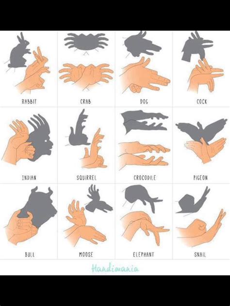 How To Make Cool Hand Shadow Puppets | Hand shadows, Shadow puppets ...