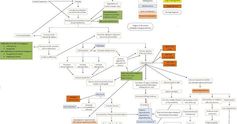 Pathophysiology Of Diabetes Type 2 Concept Map - DiabetesWalls