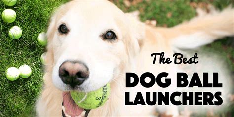 The 22 Best Ideas for Automatic Dog Ball Launcher Diy – Home, Family ...