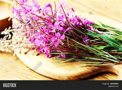 Flower Willowherb - Image & Photo (Free Trial) | Bigstock