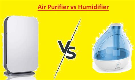 Air Purifier vs Humidifier: Which One is Right for You?