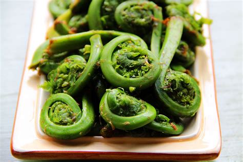 What Are Fiddlehead Ferns and How Are They Used?