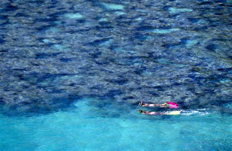 Usa Hawaii Oahu Hanauma Bay Coral Reef Stock Photo - Download Image Now ...