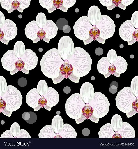 Seamless pattern with orchid flowers Royalty Free Vector