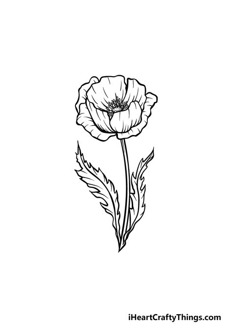 Poppy Flower Outline Drawing - Home Alqu