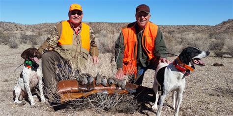 Wild Quail Hunt in far South Texas - Texas Quail Hunting