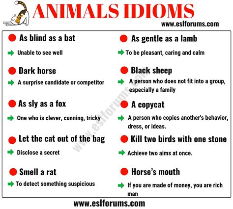 10 Animal Idioms & Phrases You Should Learn - ESL Forums