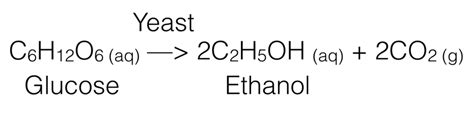 Fermentation Reaction