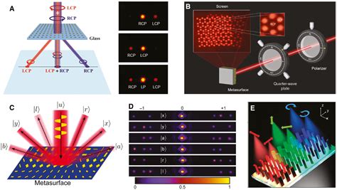 Fluorescence Polarization