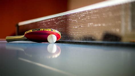 5 Best Table Tennis Rackets That You Can Buy Online | Playo