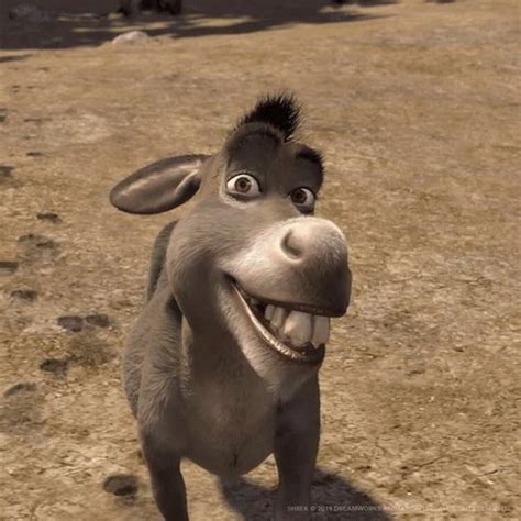 SHREK | Happy Donkey | When you realize it’s Friday. #DreamWorks #Shrek ...