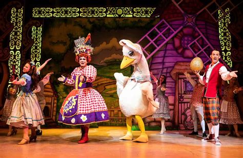 Mother Goose Pantomime Theatre Severn, Shrewsbury Review - Twinderelmo