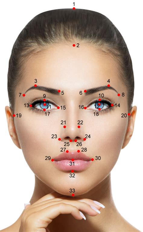 Meisner Beauty Guide for Golden Ratio Facial Analysis