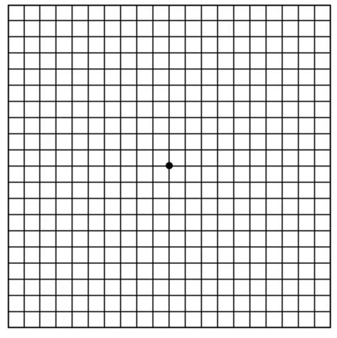 Amsler Grid Eye Chart