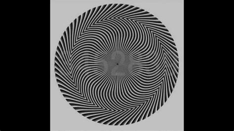 Optical Illusions What Do You See