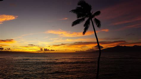 Maui Sunset Beach Ultra HD Wallpapers - Wallpaper Cave