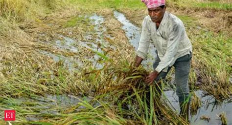 Big relief for farmers: Modi Cabinet hikes minimum support prices for ...