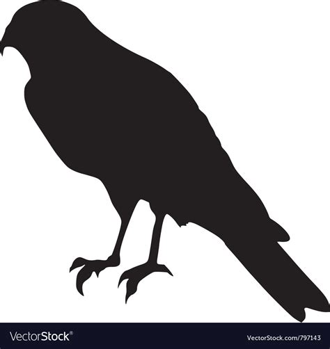 Silhouette of falcon Royalty Free Vector Image