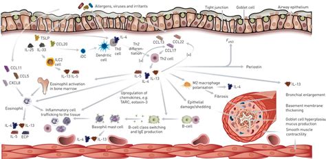 Understanding the key issues in the treatment of uncontrolled ...