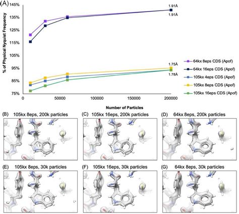 Influence of dose rate on reconstructions of apoferritin from data ...