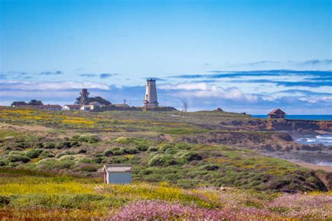 380+ Big Sur Lighthouse Stock Photos, Pictures & Royalty-Free Images ...