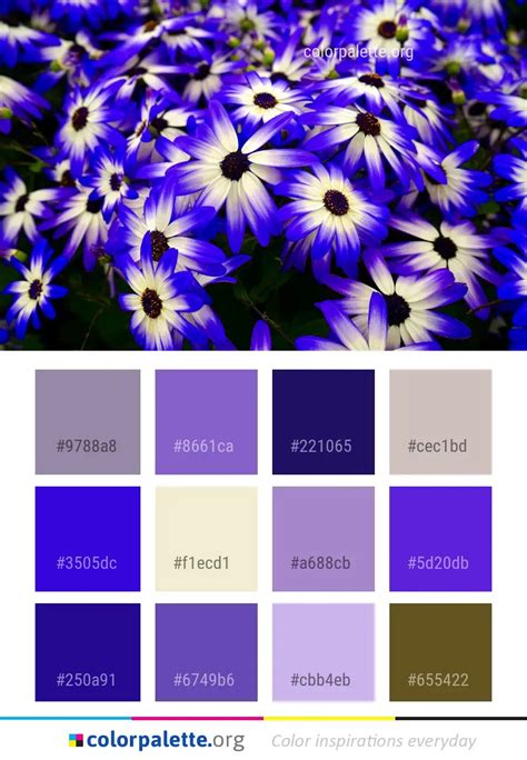 Flower Blue Flora Color Palette | colorpalette.org