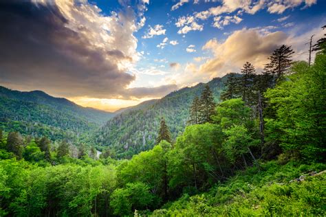 Great Smoky Mountain Hiking: A Guide To Hiking Trails Near Gatlinburg, TN