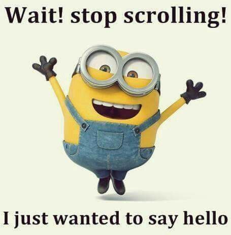 Wait! Stop Scrolling! I Just Wanted To Say Hello Pictures, Photos, and ...