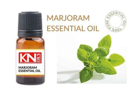 MARJORAM ESSENTIAL OIL - Buy 100% Pure ESSENTIAL OIL from India (Delhi)