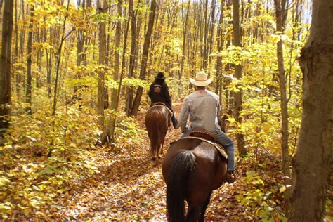 11 Things You Probably Didn't Know About Great Smoky Mountains National ...