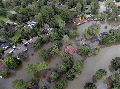 The Aftermath of Hurricane Harvey – Shark Attack