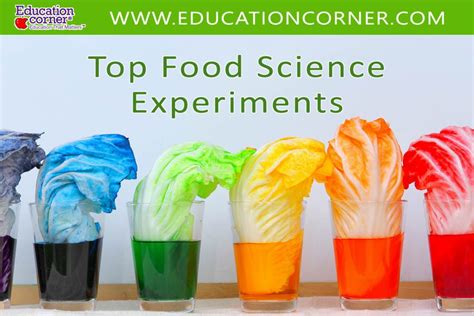 Top 50 Fun Food Science Experiments - Education Corner