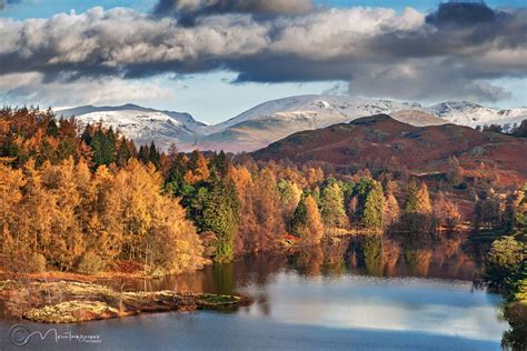 Lake District Prints: Tarn Hows in late Autumn 2