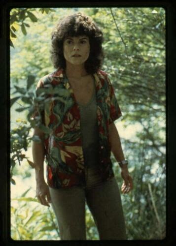 Adrienne Barbeau Swamp Thing portrait photo 1981 Original 35mm ...