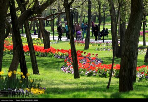 Razavi Khorasan, Iran – Mashhad, Bulbous Flowers Festival 12 | The ...