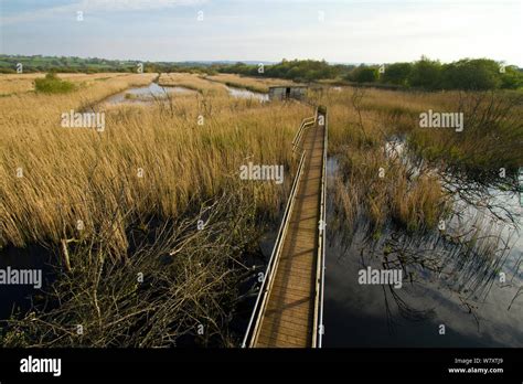 Part of the avalon marshes hi-res stock photography and images - Alamy