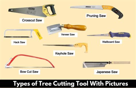 13 Types Of Wood Cutting Tools And Their Uses