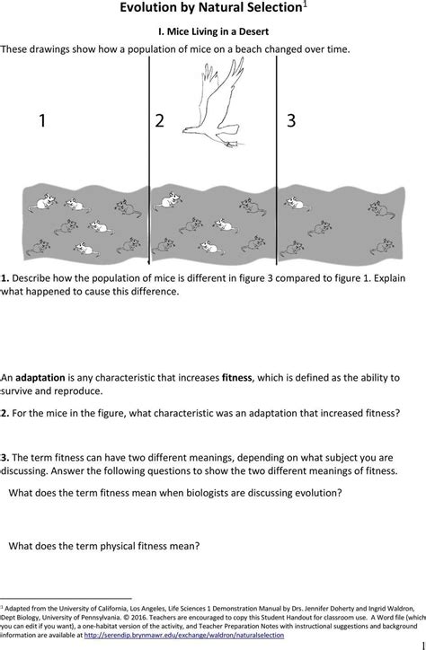 Evolution By Natural Selection Worksheet - Printable Word Searches