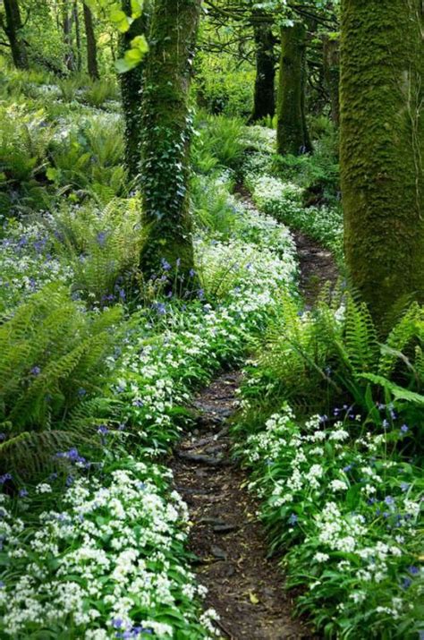 Pin on GARDENING