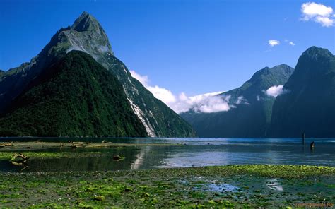 Milford Sound, New Zealand: Traces of The Sea in The Green Valley of ...