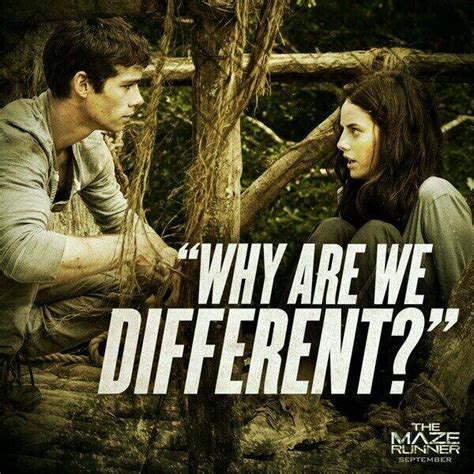 Movie Quote - The Maze Runner Photo (36957462) - Fanpop