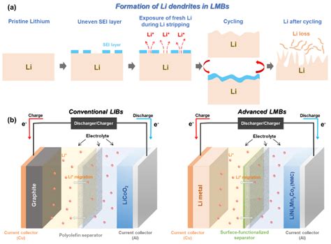 Nanomaterials | Free Full-Text | Surface-Functionalized Separator for ...