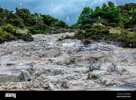 Hells gate geothermal park mud hi-res stock photography and images - Alamy