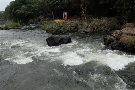 [Video] Restoring the perennial Thamirabarani river with people power