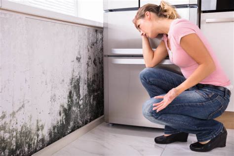 Mold Removal Companies Near Me | Your Air Specialist