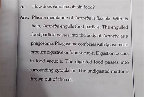 5. How does Amoeba obtain food? Ans. Plasma membrane of Amoeba is flexibl..