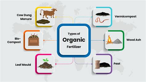 Types Of Fertilizers That Improve The Crops Health (2024)