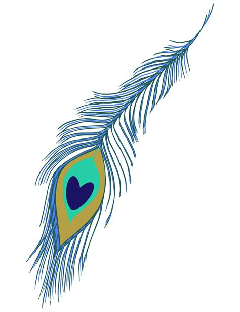 Peacock Feather Clipart Free Stock Photo - Public Domain Pictures