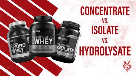 Whey Protein vs Isolate: Which is Best For You? - The Cody Allen