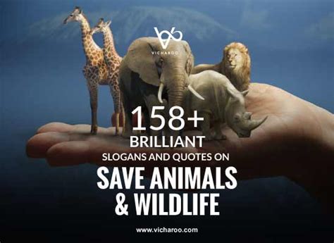 159+ Catchy Save Animals & Wildlife Conservation Slogans & Quotes ...